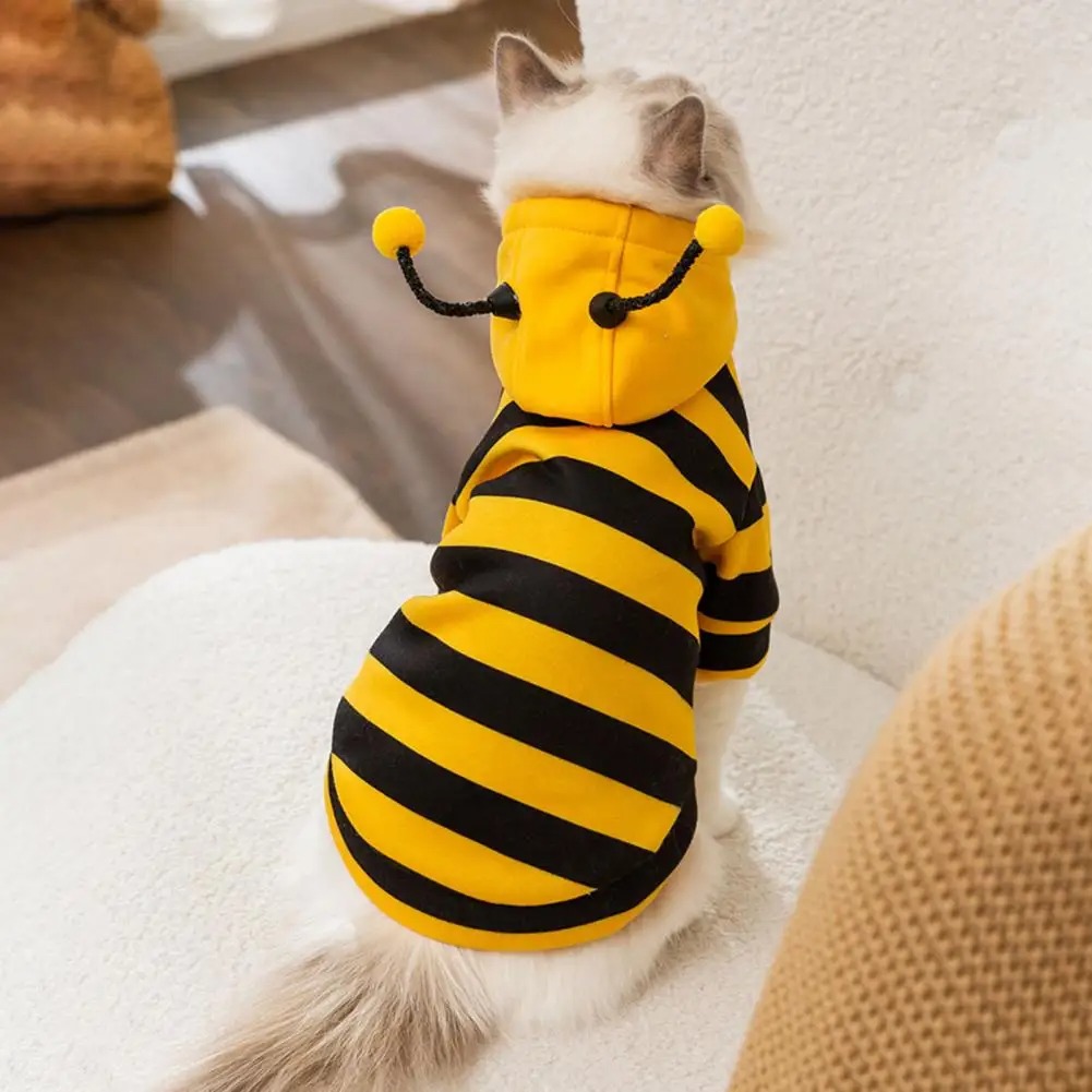 Pet Cats Clothes Kitten Stuff  - Winter Clothing Accessories recension och pris