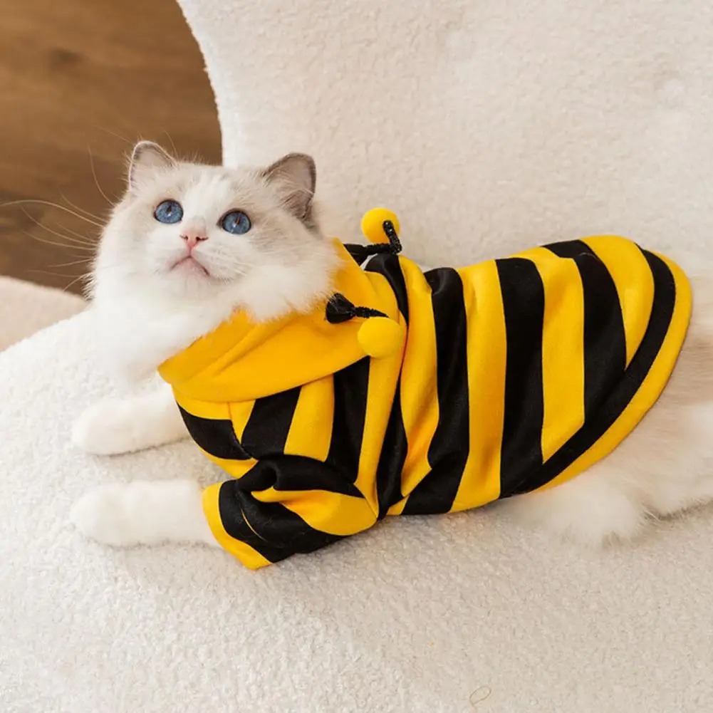 Pet Cats Clothes Kitten Stuff  - Winter Clothing Accessories recension och pris