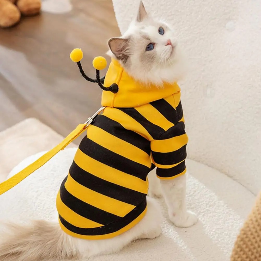Pet Cats Clothes Kitten Stuff  - Winter Clothing Accessories recension och pris