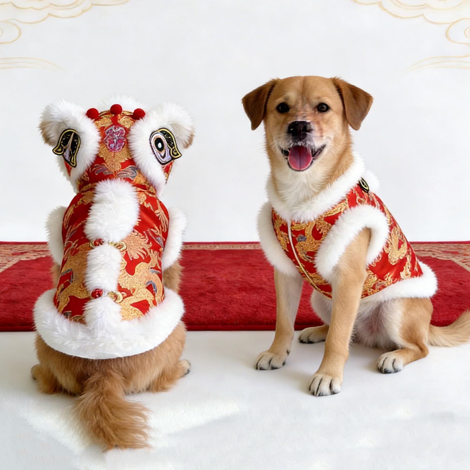 Lion Dance Cat Costume Winter  - Winter Clothing Dress Up recension och pris