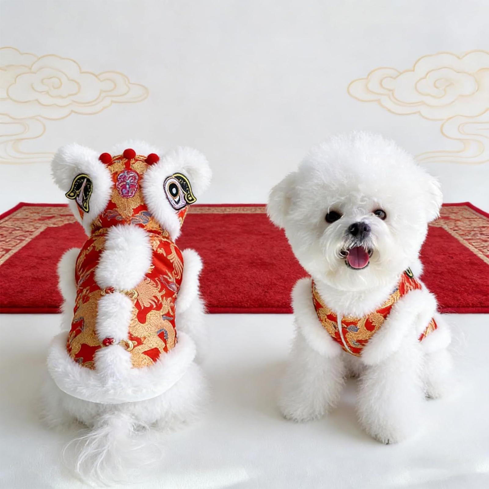 Lion Dance Cat Costume Winter  - Winter Clothing Dress Up recension och pris