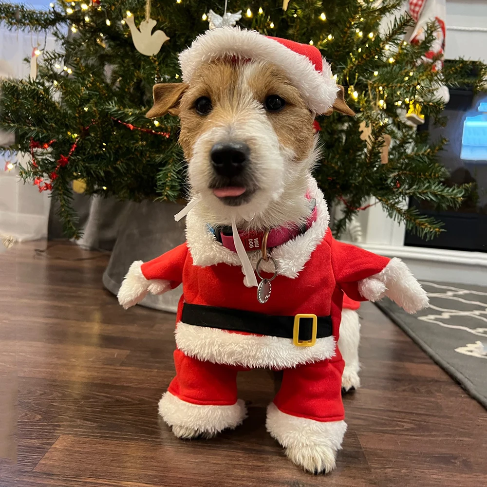 Christmas Clothes For Dogs Cat - Winter Clothing Dress Up recension och pris
